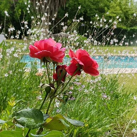 Hopefield Country House Addo Exteriér fotografie