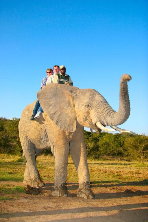 Hopefield Country House Addo Exteriér fotografie