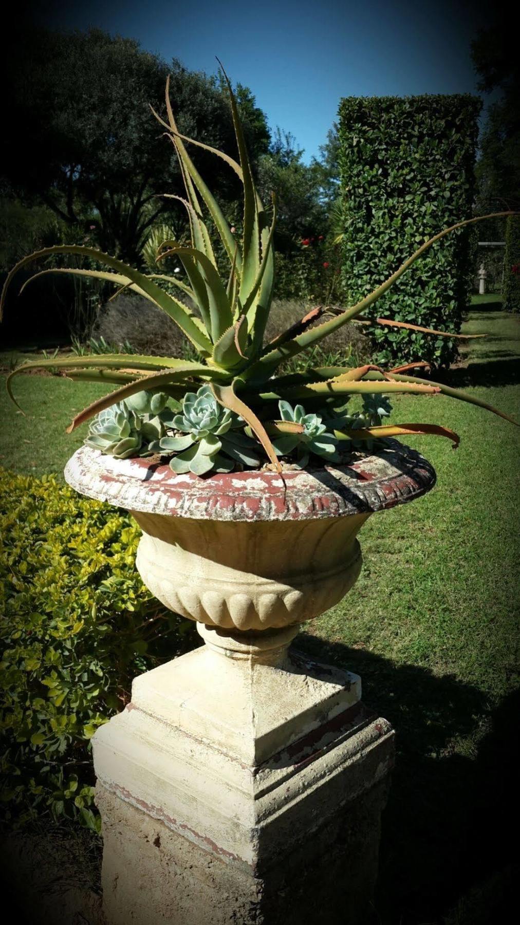 Hopefield Country House Addo Exteriér fotografie